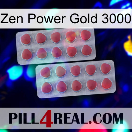 Zen Power Gold 3000 19